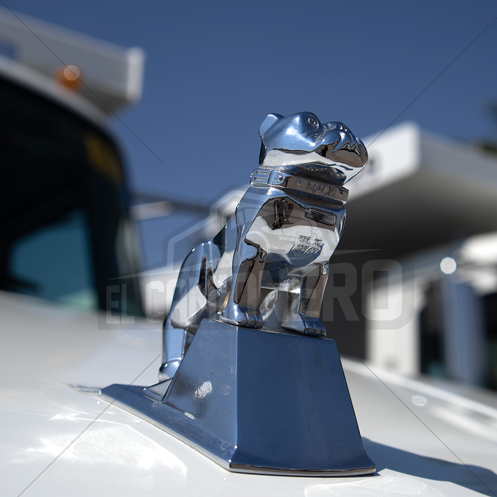 Primer plano del emblema cromado del bulldog de Mack Trucks.