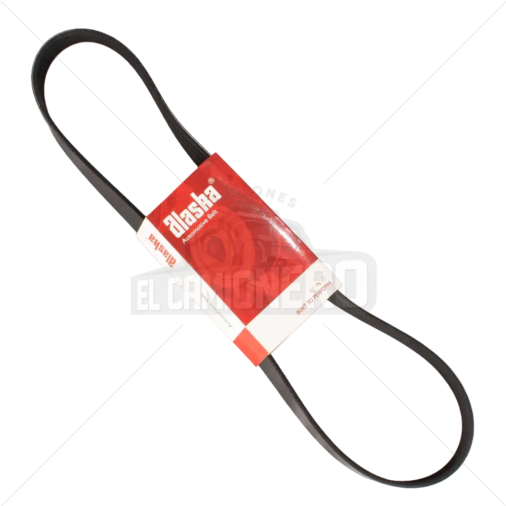 Banda Micro V  6PK-1120 Alaska K060441