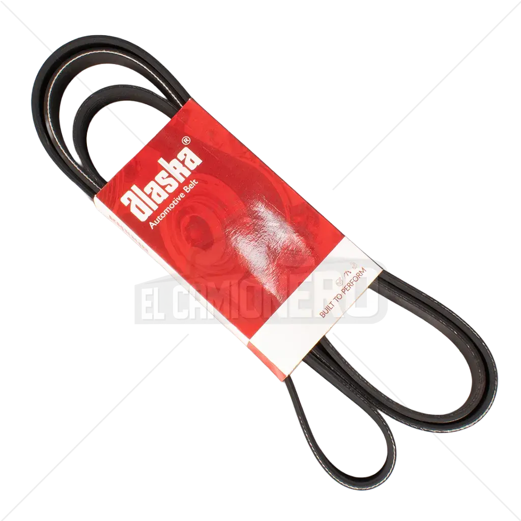 Banda Micro V  6PK-2070 Alaska K060815