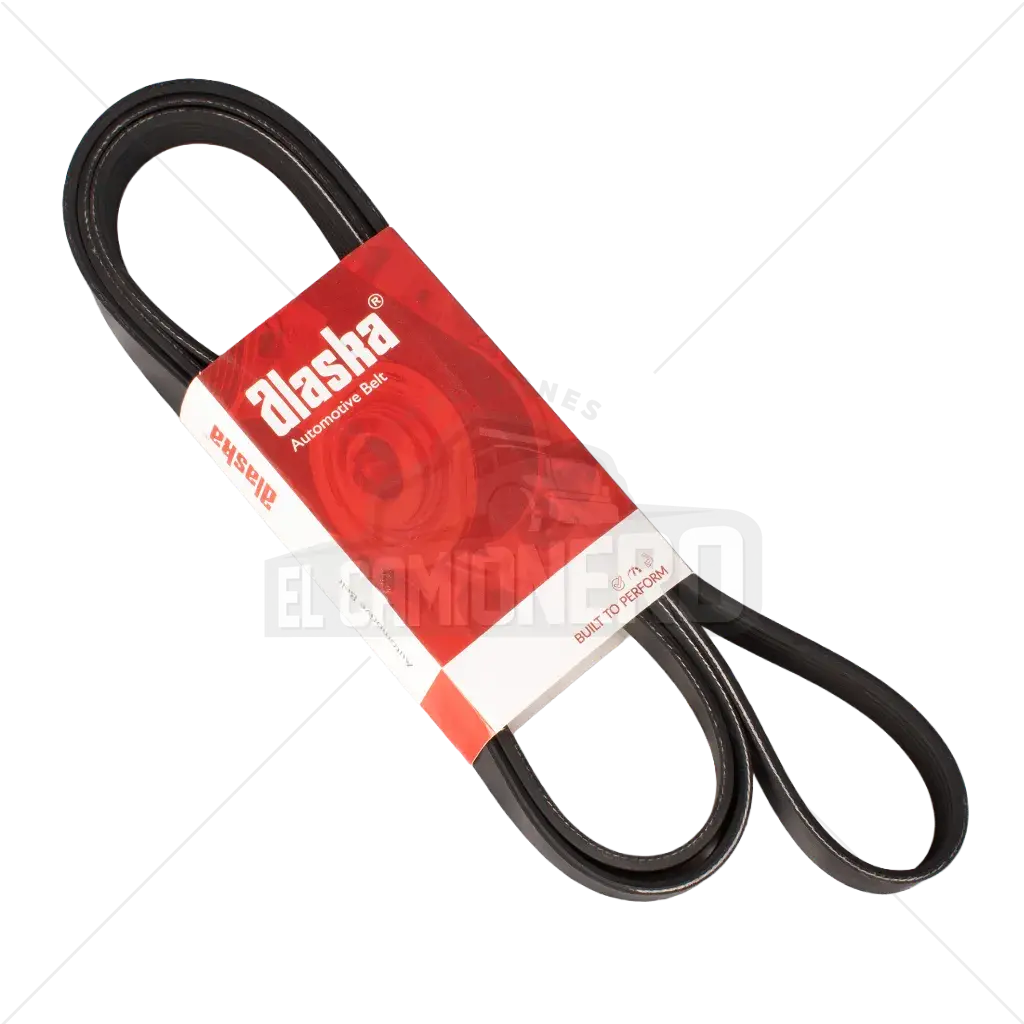Banda Micro V 6PK-2223 Alaska K060875