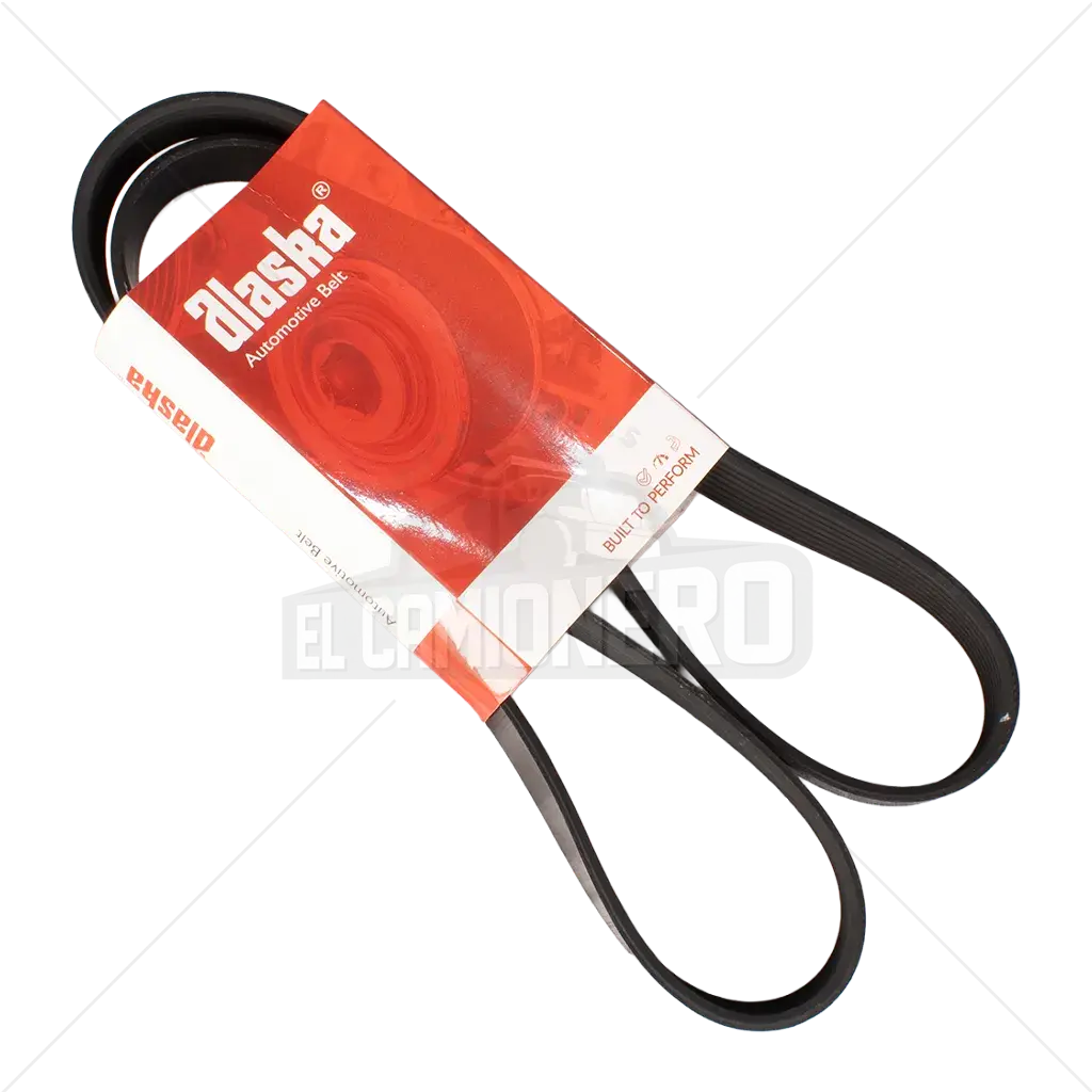 Banda Micro V   8PK-1364 Alaska K080537