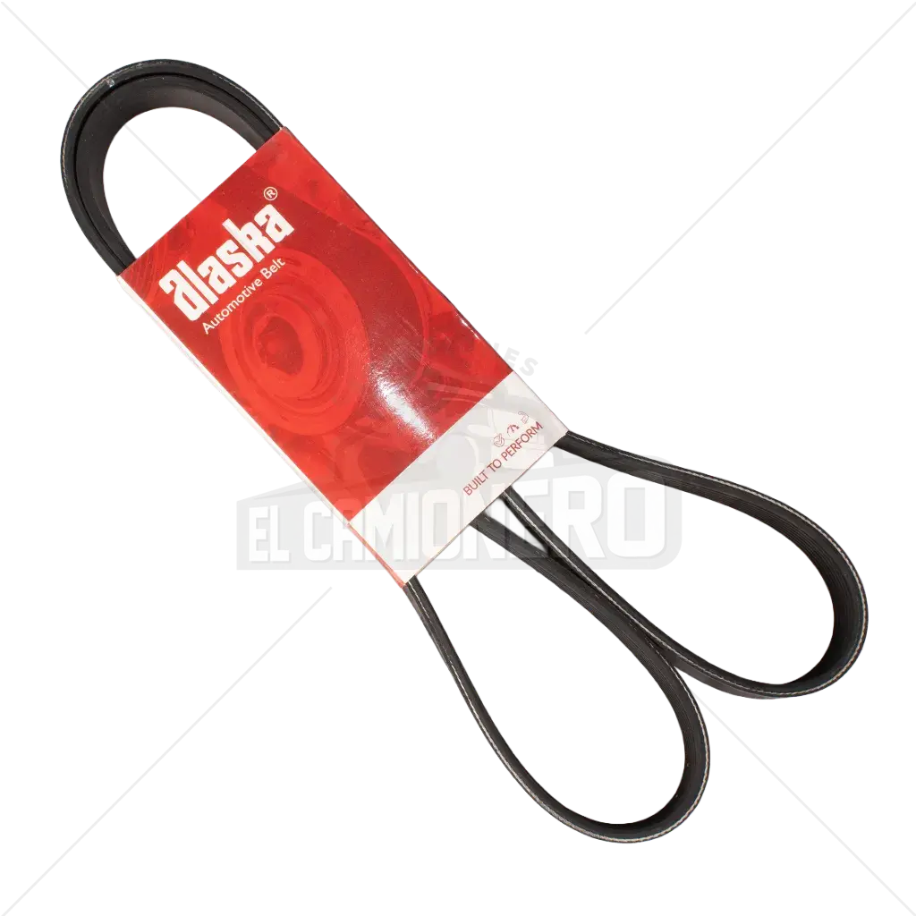 Banda Micro V  8PK-1524 Alaska K080600